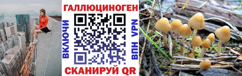 Псилоцибиновые грибы GOLDEN TEACHER  Асбест 