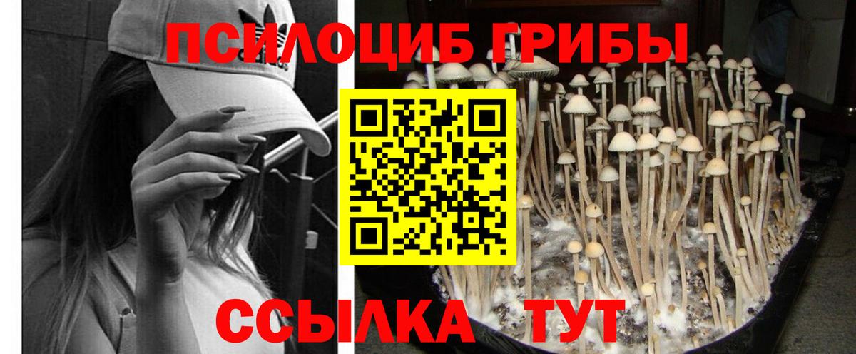 Псилоцибиновые грибы мухоморы  Галлюциногенные грибы Psilocybe  Вход с VPN  Асбест 