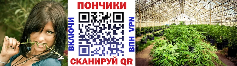Марихуана THC 21%  купить наркотики цена  omg как войти  Асбест 